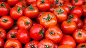 Fresh Tomatoes (Basket)