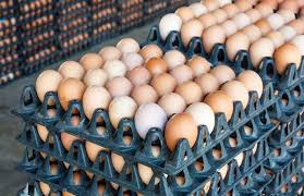 Crate of Fresh Eggs